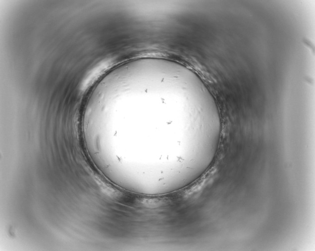 X0000093230341200710241240