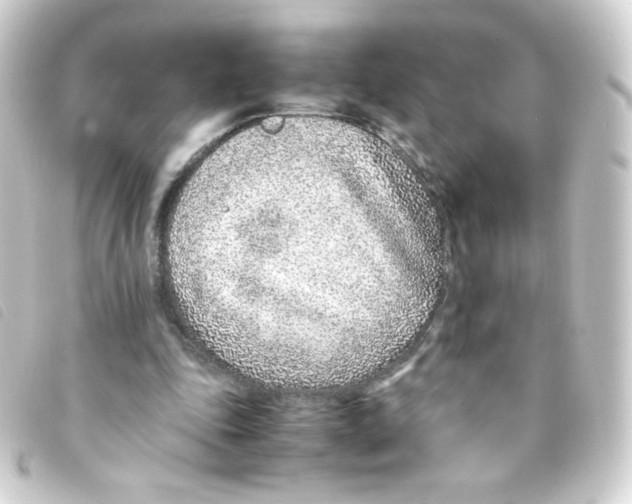 X0000093230343200710241240