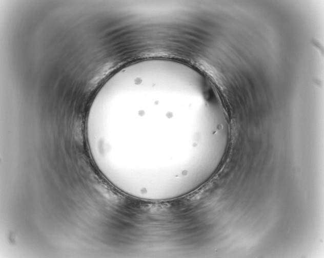 X0000093230345200710241240