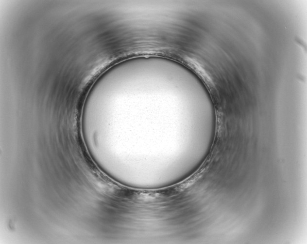 X0000093230346200710241240