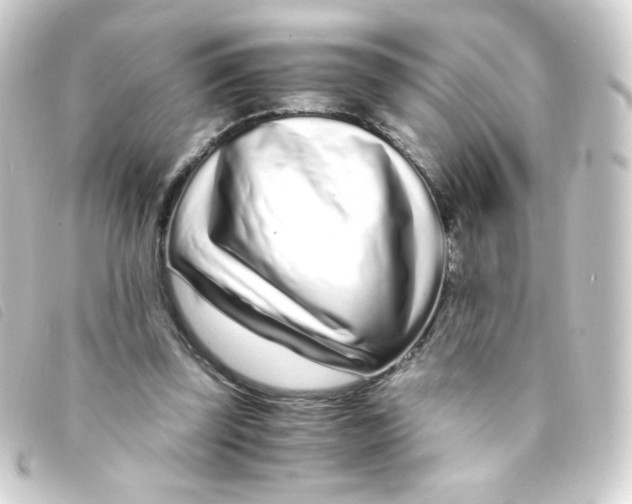 X0000093230347200710241240