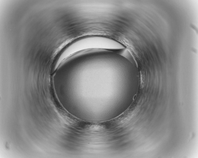 X0000093230348200710241240