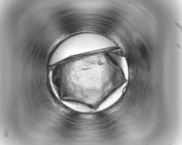 X0000093230349200710241240