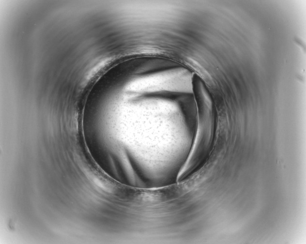 X0000093230350200710241240