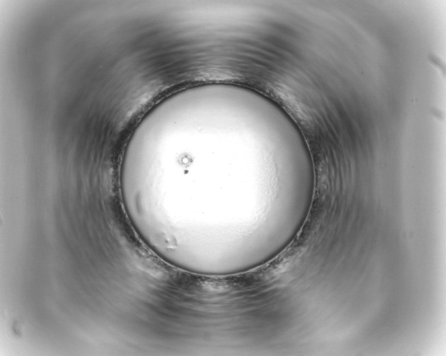 X0000093230351200710241240