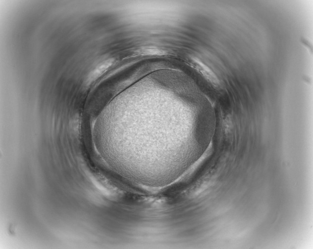 X0000093230352200710241240