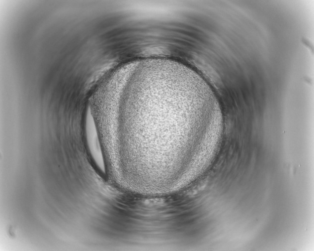 X0000093230353200710241240