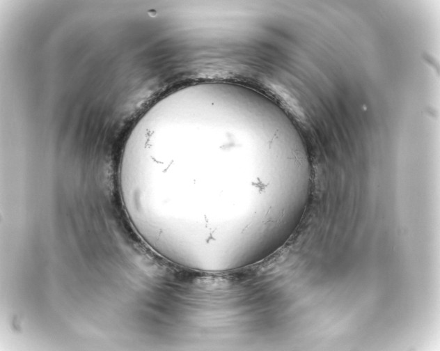 X0000093230354200710241240