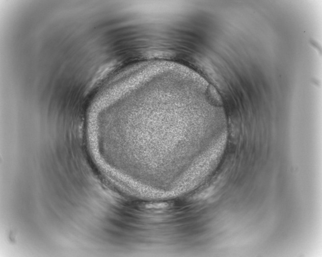 X0000093230357200710241240