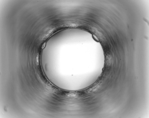 X0000093230358200710241240