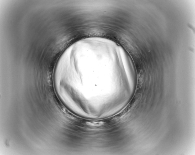 X0000093230359200710241240