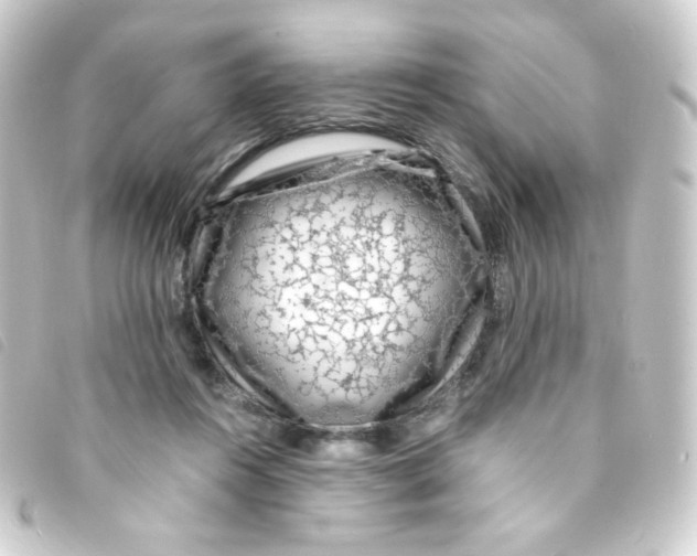 X0000093230360200710241240