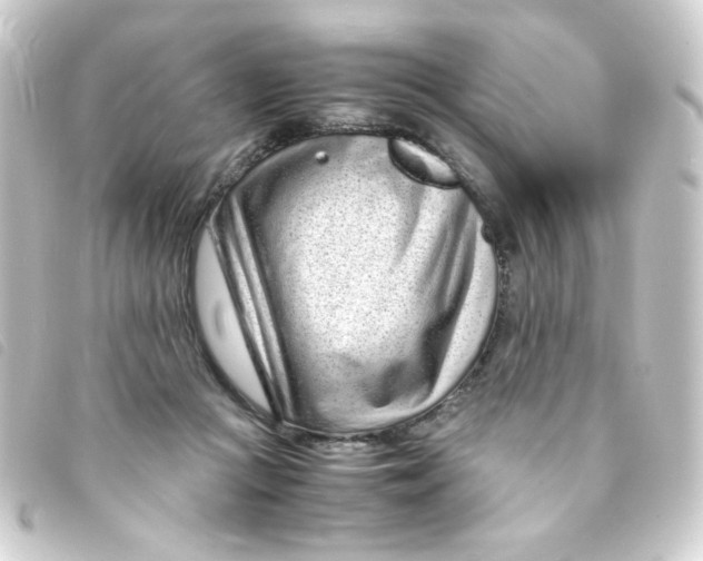 X0000093230361200710241240