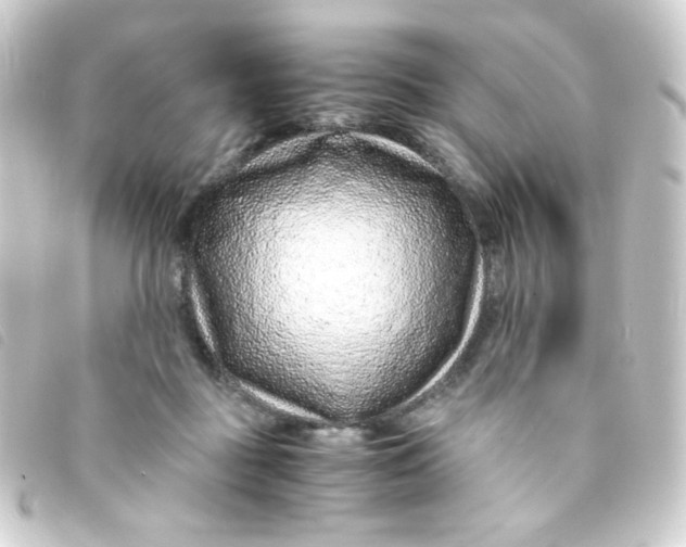 X0000093230363200710241240