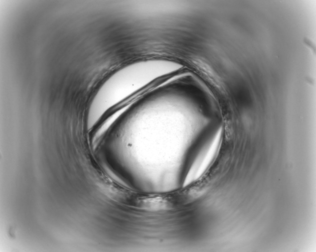 X0000093230365200710241240