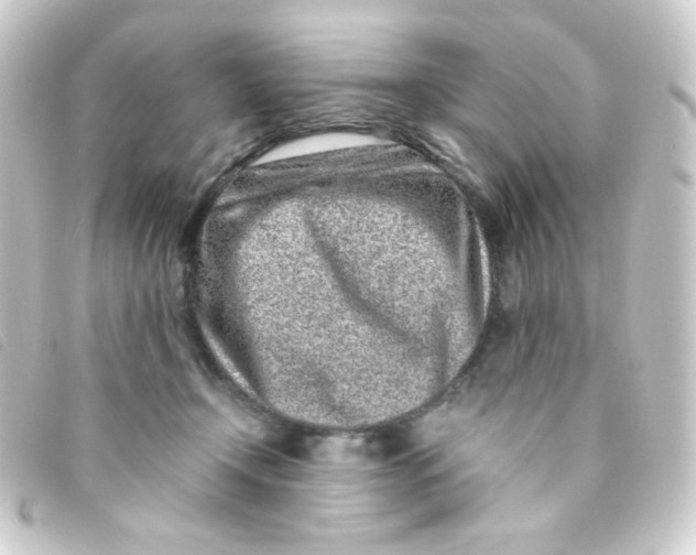 X0000093230366200710241240