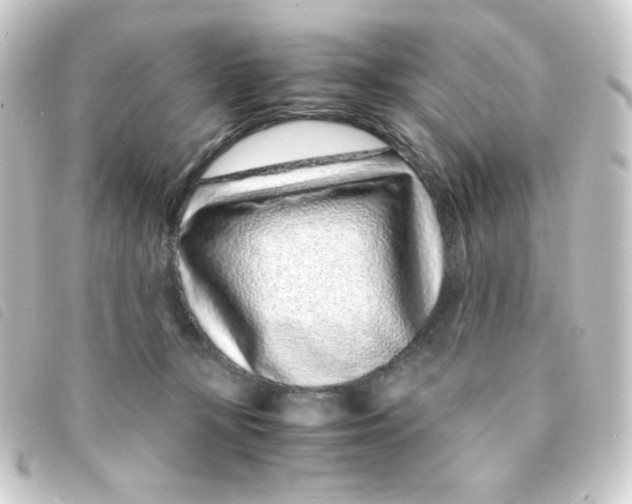 X0000093230367200710241240