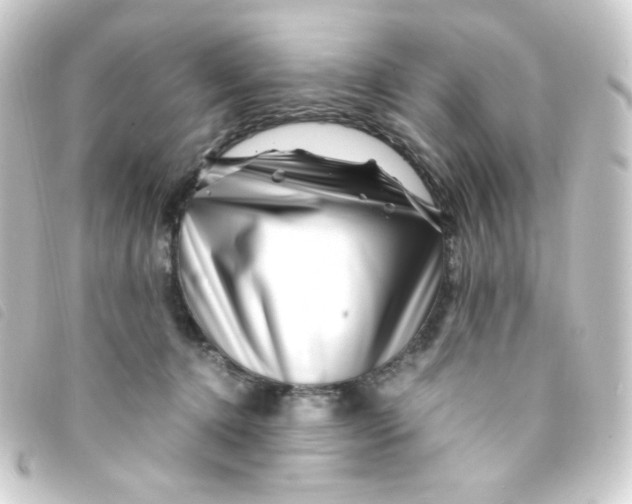 X0000093230368200710241240