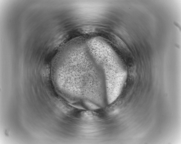 X0000093230372200710241240