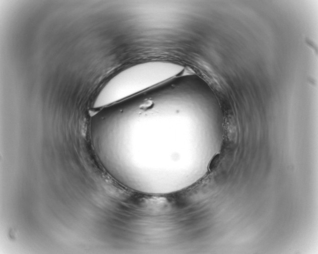 X0000093230374200710241240