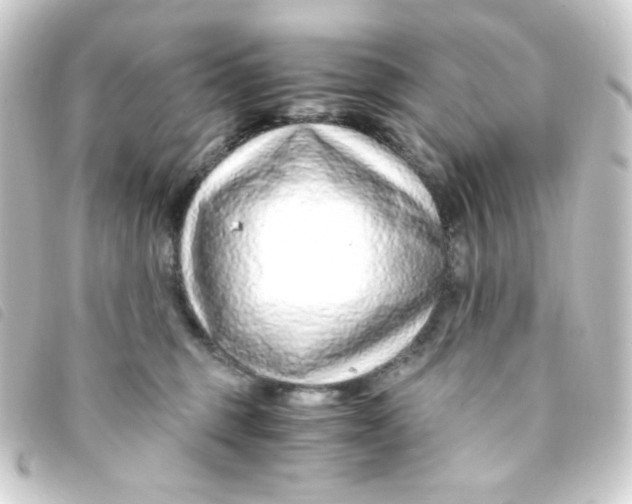 X0000093230375200710241240