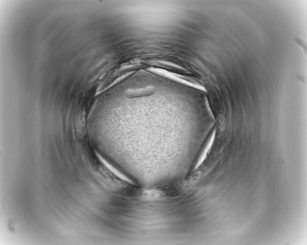 X0000093230376200710241240