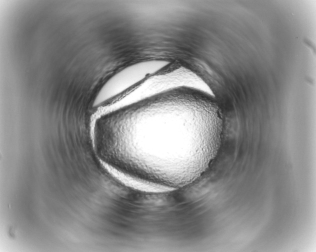 X0000093230377200710241240