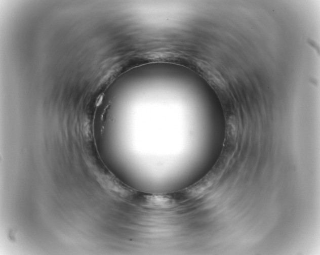 X0000093230380200710241240