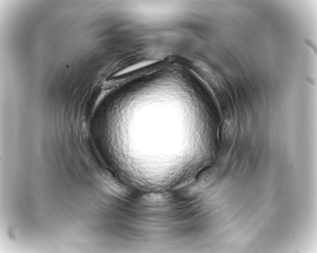 X0000093230381200710241240