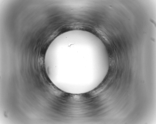 X0000093230382200710241240