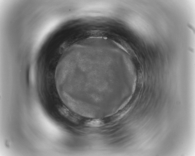 X0000093230383200710241240