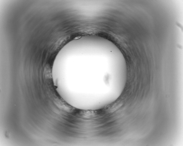 X0000093230384200710241240