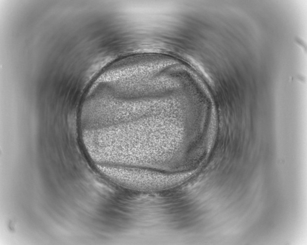 X0000093230386200710241240