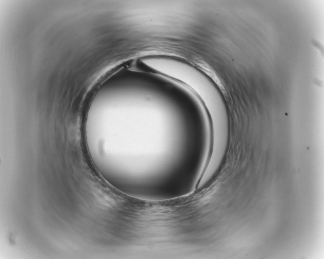 X0000093230387200710241240