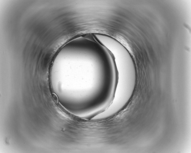 X0000093230389200710241240