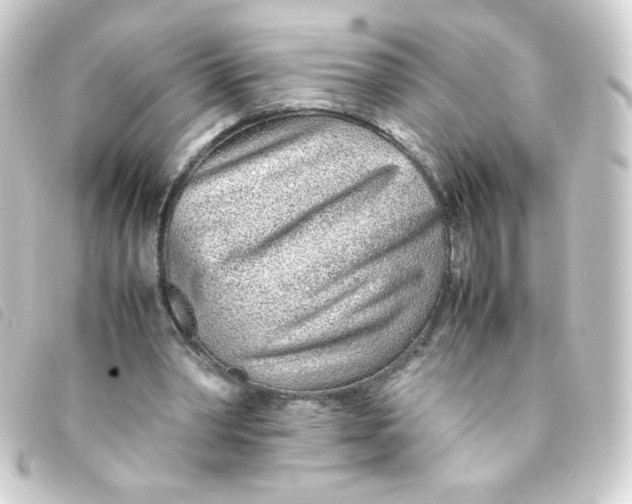 X0000093230390200710241240