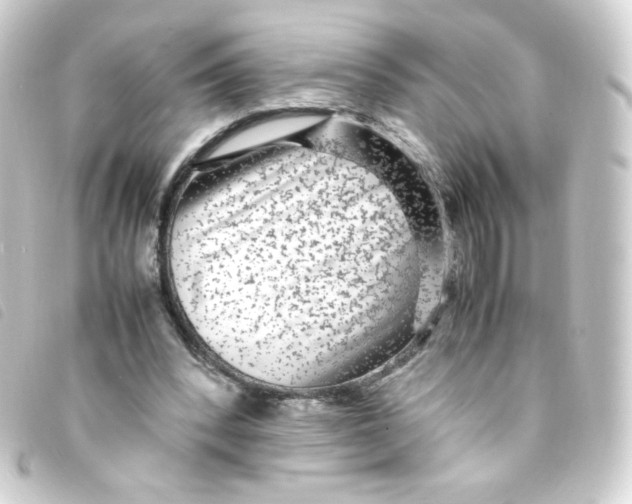 X0000093230392200710241240