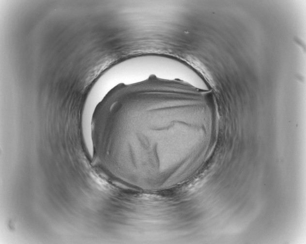 X0000093230393200710241240