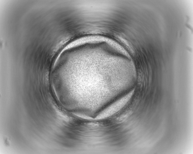 X0000093230394200710241240