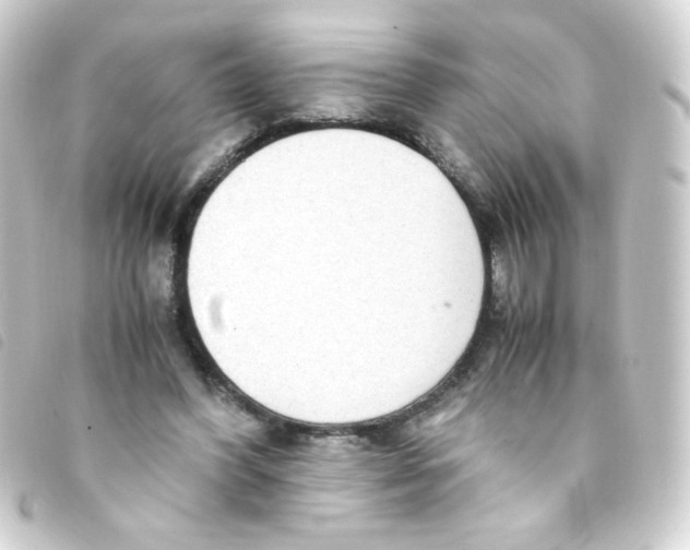 X0000093230396200710241240