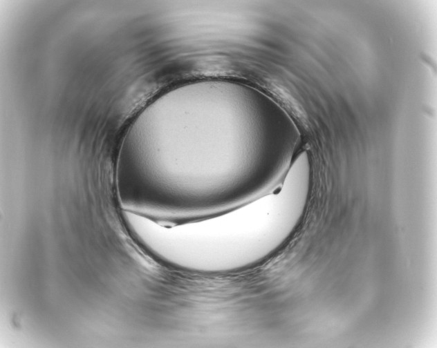 X0000093230397200710241240