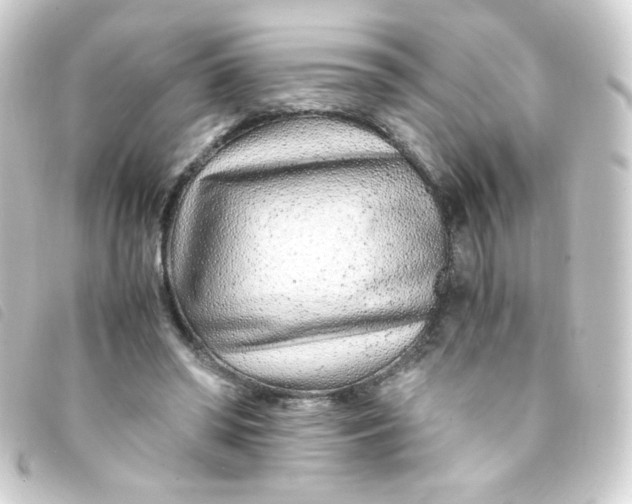 X0000093230398200710241240