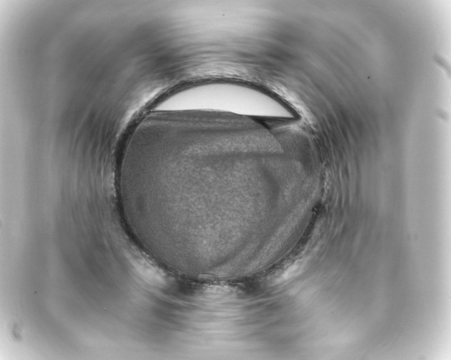 X0000093230399200710241240