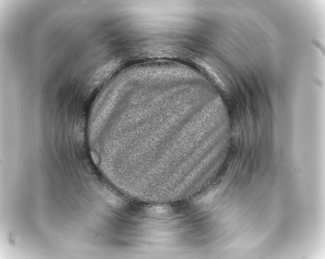 X0000093230402200710241240