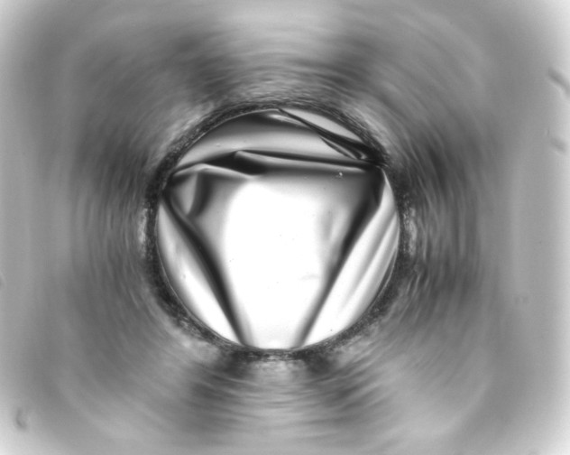 X0000093230404200710241240