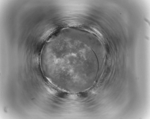 X0000093230405200710241240