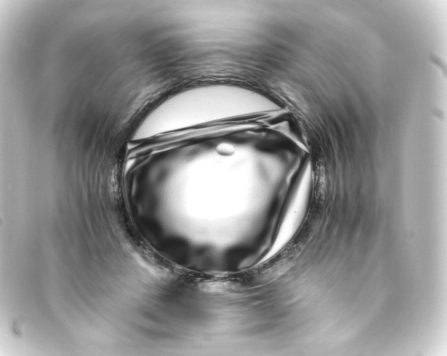 X0000093230408200710241240