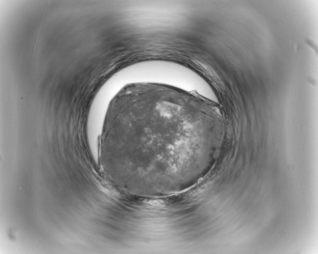 X0000093230409200710241240