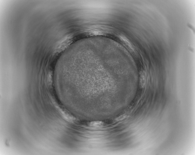 X0000093230410200710241240