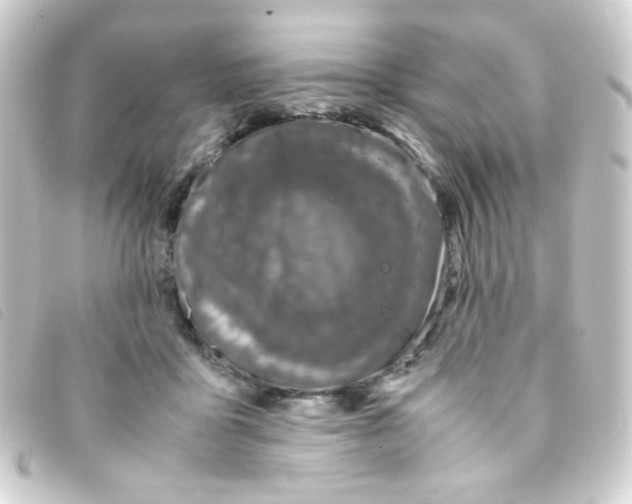 X0000093230411200710241240